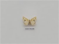 藏品(尺蛾245)的圖片